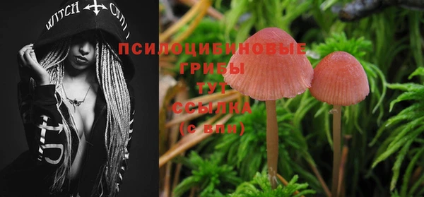 MESCALINE Белокуриха
