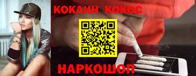 стаф Гай