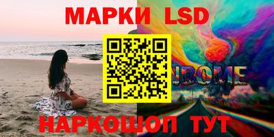 стаф Гай