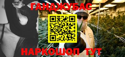стаф Гай
