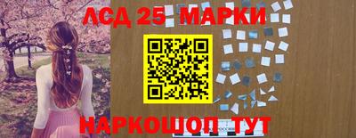 стаф Гай