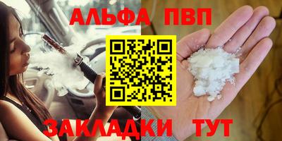 стаф Гай