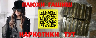 стаф Гай