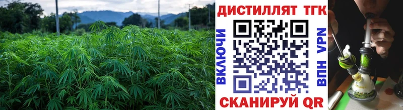 ТГК жижа  мега ссылки  Вязьма 