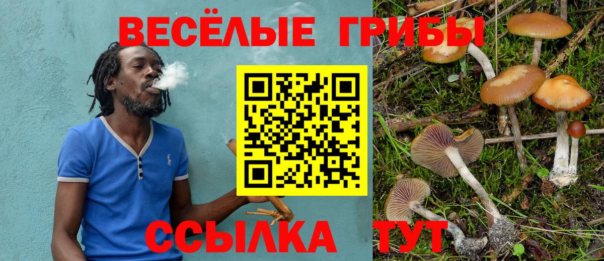 Псилоцибиновые грибы ЛСД Вязьма