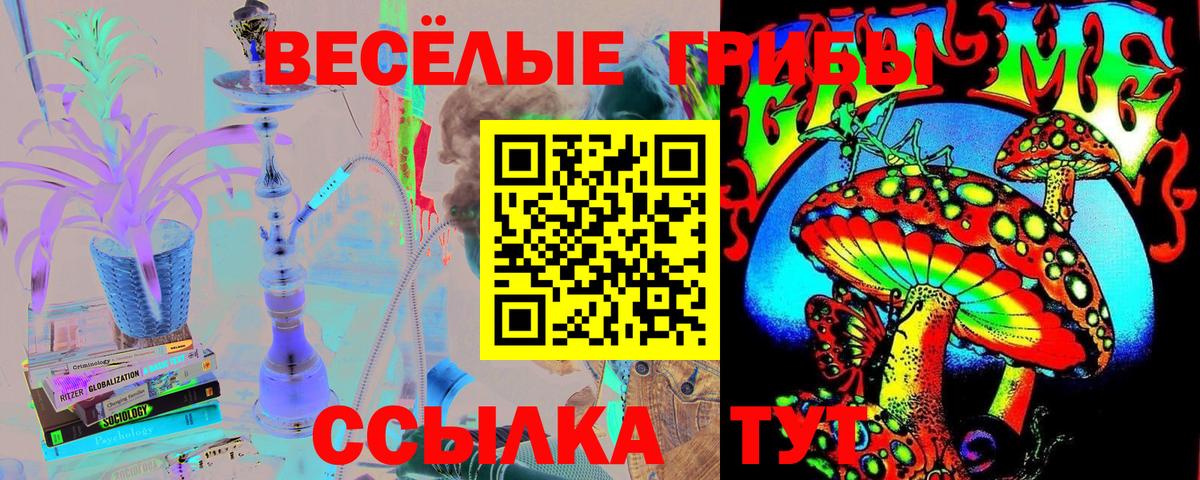 закладка  Вход с VPN  Вязьма  Галлюциногенные грибы Cubensis 
